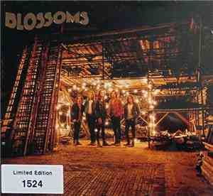 Blossoms - Blossoms