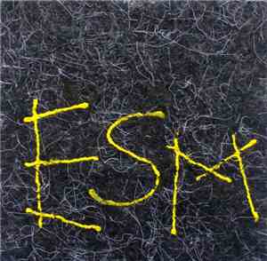 ESM - nESMysl