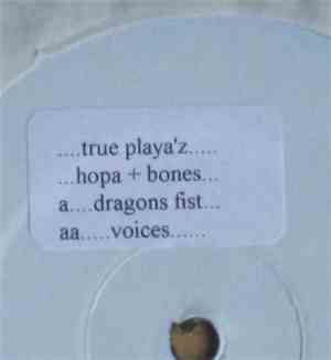 Hopa + Bones - Dragons Fist / Voices
