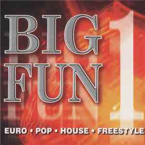 Various - Big Fun 1