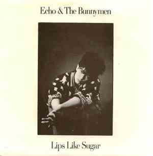 Echo & The Bunnymen - Lips Like Sugar