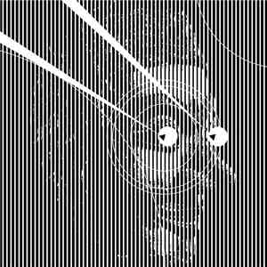 Sulumi - Too Late To Die Young (Janski Beeeats Remix)