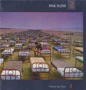 Pink Floyd - A Momentary Lapse Of Reason