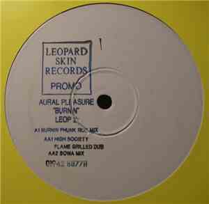 Aural Pleasure - Burnin