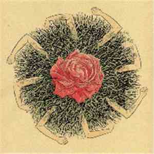 Jesse Sykes & The Sweet Hereafter - Gentleness Of Nothing EP