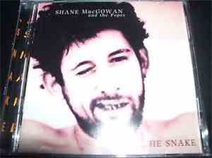 Shane MacGowan And The Popes - The Snake