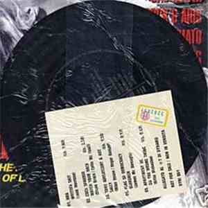 Various - A Joint Effort Between / Uno Sforzo Comune Fra Dynamo Magazine E  ...