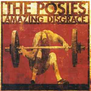 The Posies - Amazing Disgrace