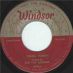 The Windsors - Small Town