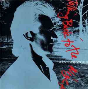 Steve Winwood - Talking Back To The Night