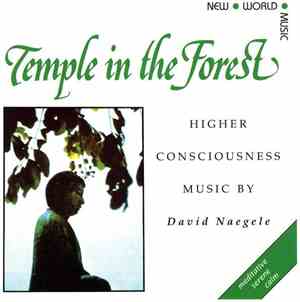 David Naegele - Temple In The Forest