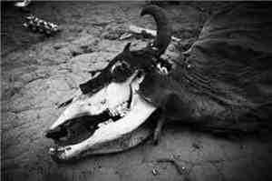 Killing Lazarus - Dead In The Water