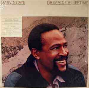 Marvin Gaye - Dream Of A Lifetime