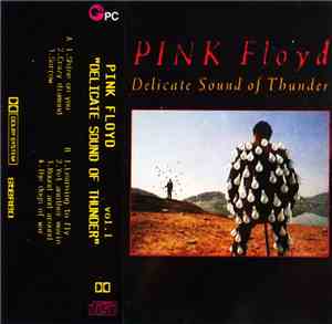 Pink Floyd - Delicate Sound Of Thunder Vol.I