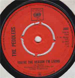 The Peddlers - You're The Reason I'm Living / Nine Miles High