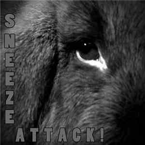 Sneeze Attack! - Aurora