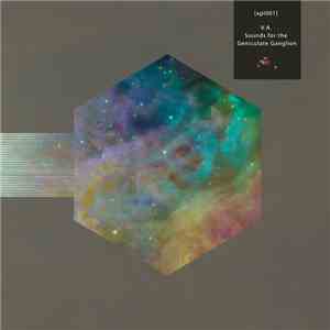 Various - V.A. Sounds For The Geniculate Ganglion
