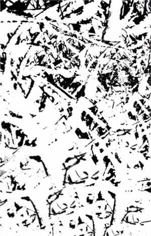 White Blackmail - Stubbornly Refuses To Die