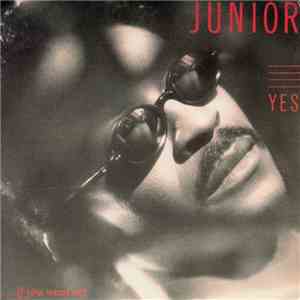 Junior  - Yes... (If You Want Me)