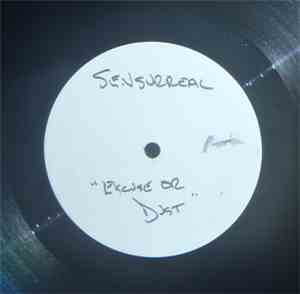Sensurreal - Excuse Our Dust