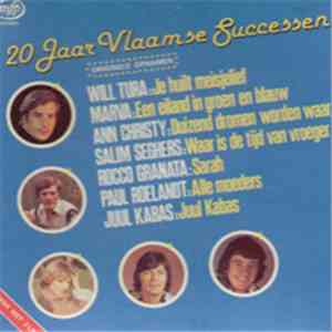 Various - 20 Jaar Vlaamse Successen