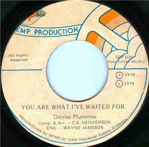 Denise Plummer - You Are What I've Waited For - Words