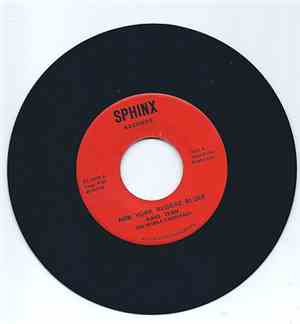 Karl Tenn / The People Heritage - New York Reggae Blues