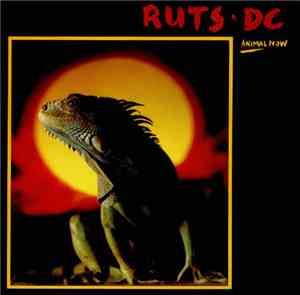 Ruts DC - Animal Now