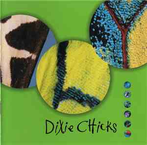 Dixie Chicks - Fly