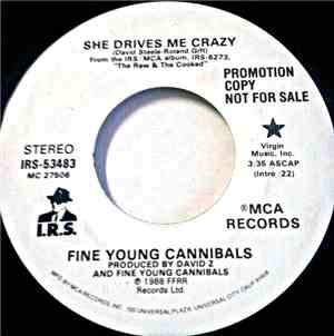 Fine Young Cannibals - She Drives Me Crazy