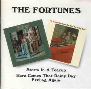 The Fortunes - Storm In A Teacup / Here Comes That Rainy Day Feeling Again
