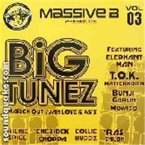 Various - Big Tunez Vol 3