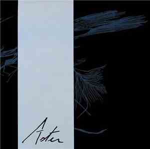Aster  - Untitled