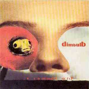 Dimbulb - Trip Hammers