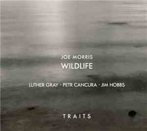 Joe Morris Wildlife - Traits