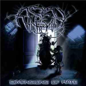 Reek Of Insanity - Dimensions Of Hate