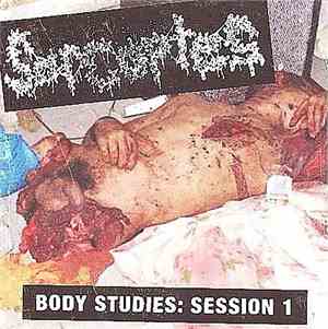 Sarcoptes - Body Studies : Session 1