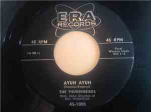 The Thunderbirds  - Ayuh Ayuh / Blueberries