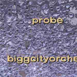 Biggcityorche - Probe