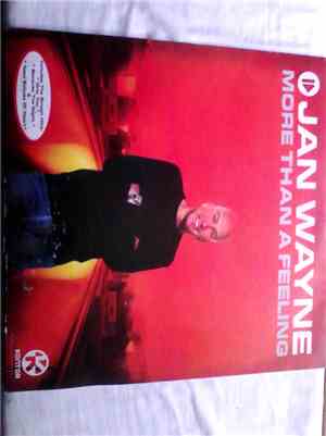 Jan Wayne - More than a feeling