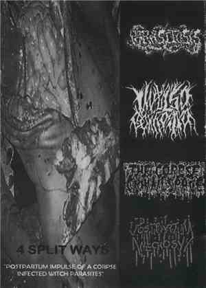 Parasitosis / The Corpse In The Crawlspace / Impulso Corrosivo / Postpartum ...