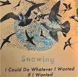 Snowing - I Could Do Whatever I Wanted If I Wanted