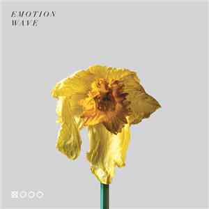 Various - Daffodils