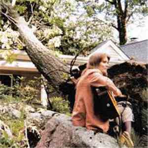 Terre Roche - The Sound Of A Tree Falling