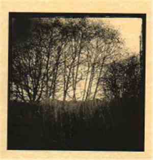Tom Carter - Highs In The Low Twenties