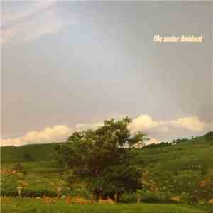 Various - File Under Ambient