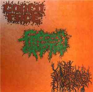 Gored Face / Faeces Eruption / El Muermo - 3 Way Split