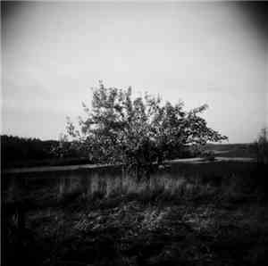 Namur - Draw Us Near