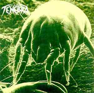 Tenebra - Tenebra