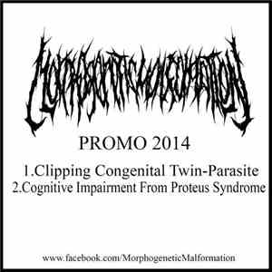 Morphogenetic Malformation - Promo 2014